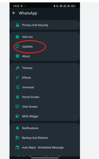 Update GBWhatsApp step